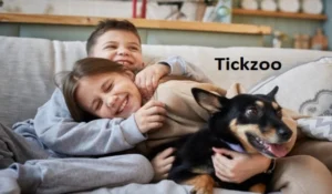 tickzoo