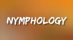 nymphology